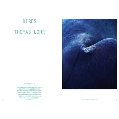 VOSTOK vol.36 / BIRDSONG