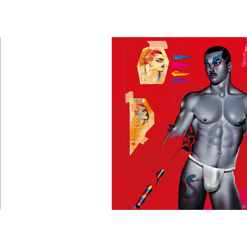 SADAO. HASEGAWA 1945-1999 (通常版) | loneliness books