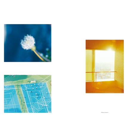 VOSTOK vol.41 / 光と色