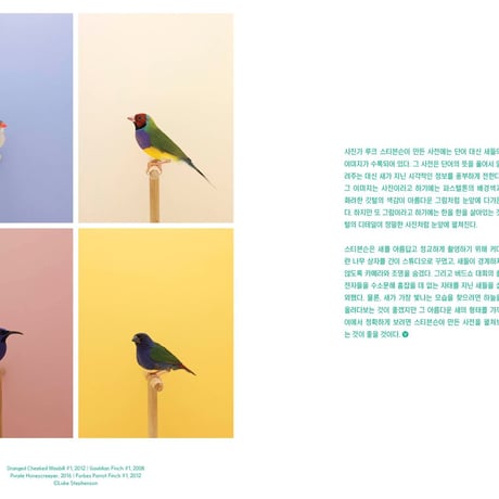 VOSTOK vol.36 / BIRDSONG