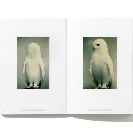 VOSTOK vol.36 / BIRDSONG