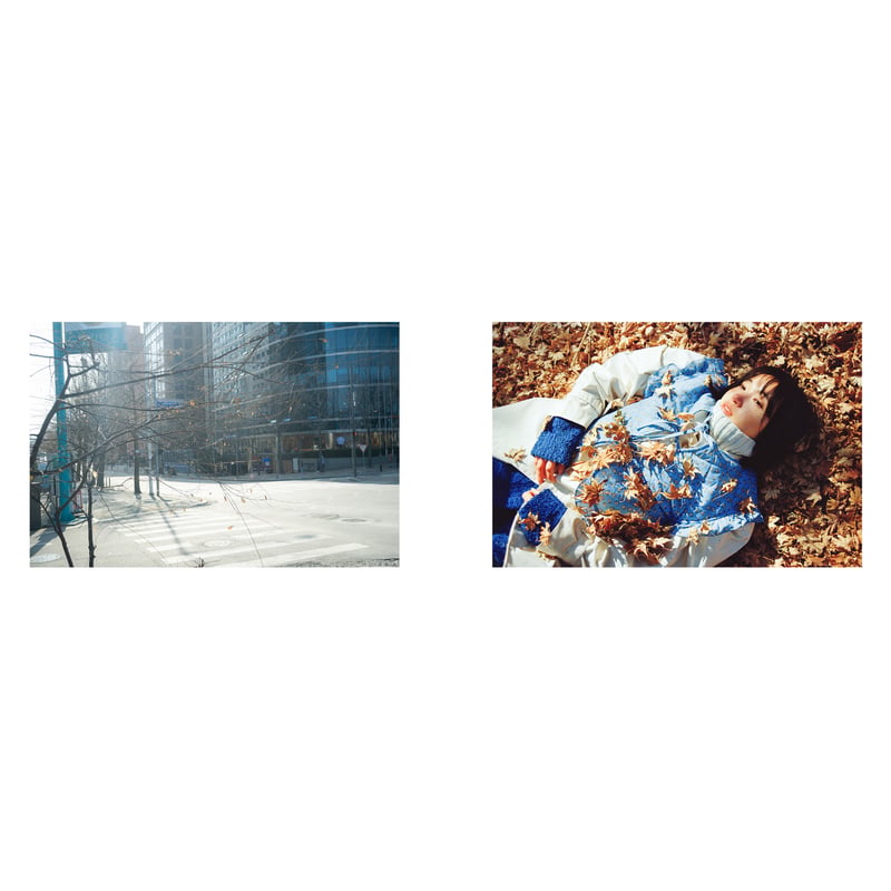 サランラン 사란란 / 川島小鳥 | loneliness books