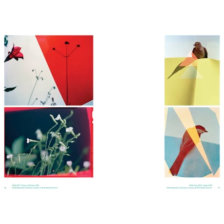 VOSTOK vol.36 / BIRDSONG