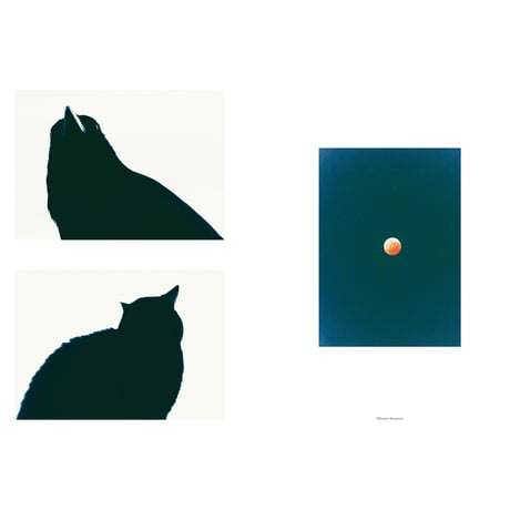 VOSTOK vol.41 / 光と色