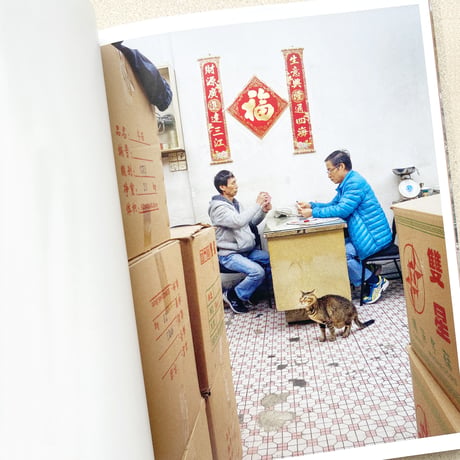 香港舗頭猫