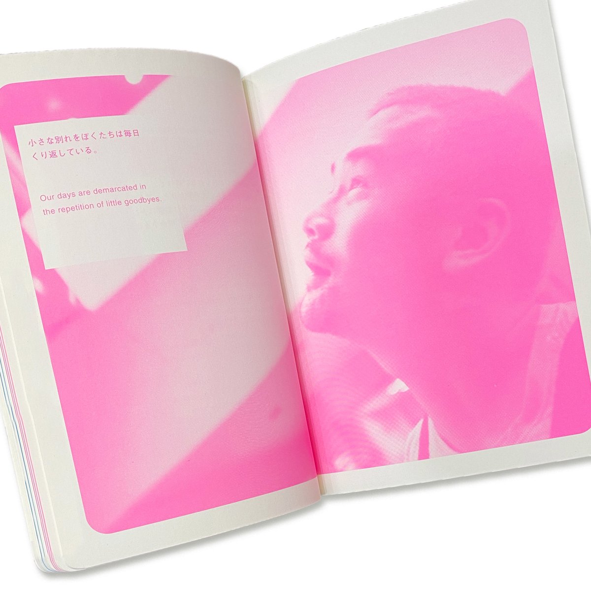 売男日記 A Whore Diary / アキラ・ザ・ハスラー Akira The Hu