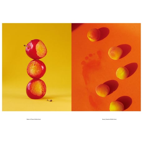 VOSTOK vol.38 / Still Life：私の小さな世界は