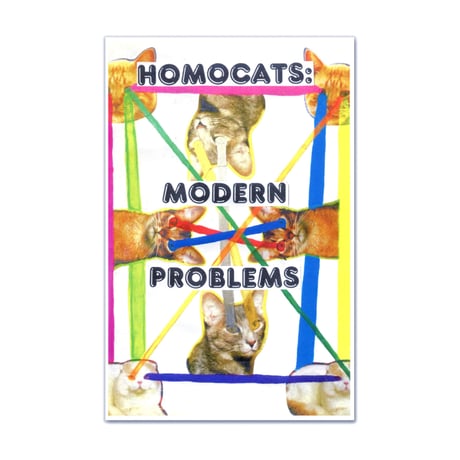 MODERM  PROBLEMS / HOMOCATS