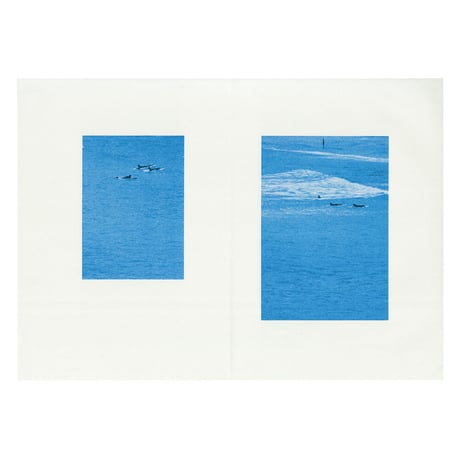 The coldest day of my life  /  Lee Cha Ryoung