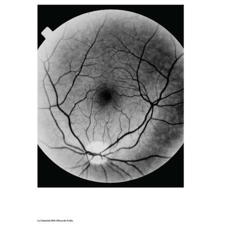 VOSTOK vol.30 / No Limits  互いに案内し合う感覚