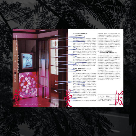 OUT OF SIGHT!!! Vol.3　地域と芸術祭、あの前後（別冊 台湾編）