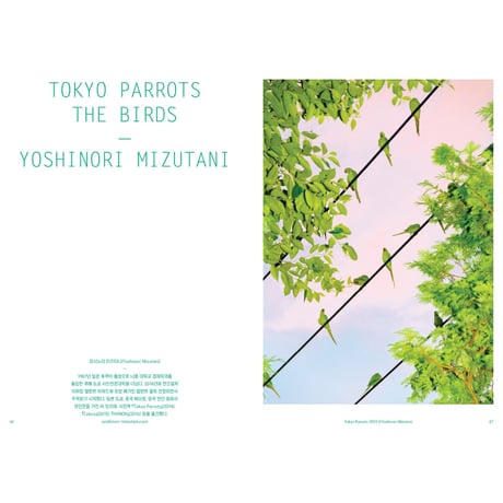 VOSTOK vol.36 / BIRDSONG