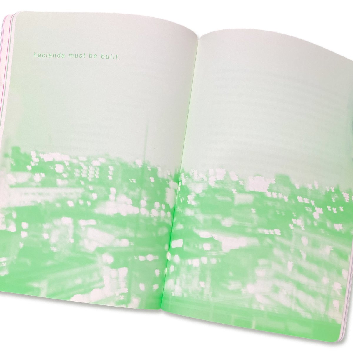 売男日記 A Whore Diary / アキラ・ザ・ハスラー Akira The Hu