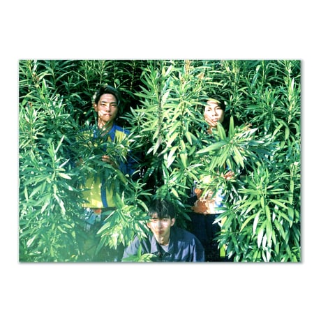 ダンセーカイホー / Kotetsu Nakazato