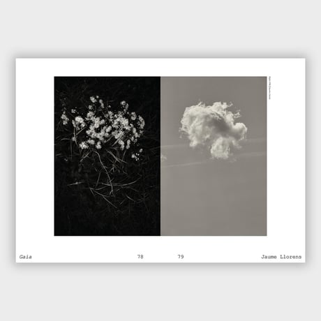 VOSTOK vol.44 / モノクロ写真の気分