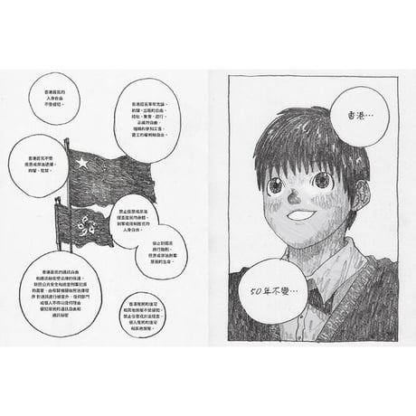 被消失的香港 THE FALLEN CITY HONG KONG  /  柳廣成