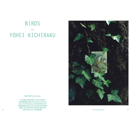 VOSTOK vol.36 / BIRDSONG