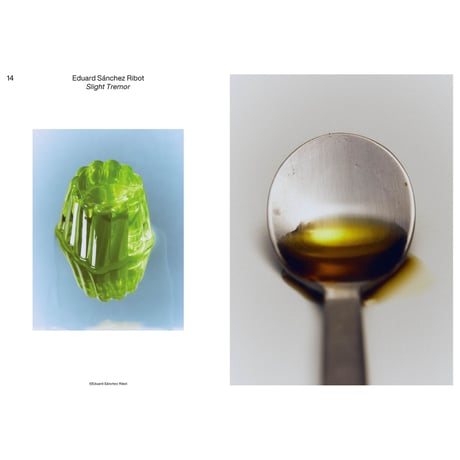VOSTOK vol.38 / Still Life：私の小さな世界は