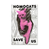 SAVE US / HOMOCATS