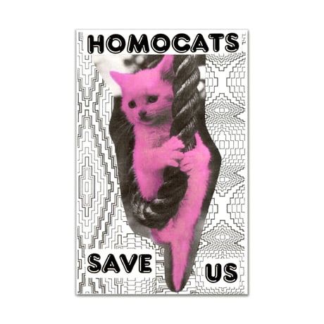 SAVE US / HOMOCATS