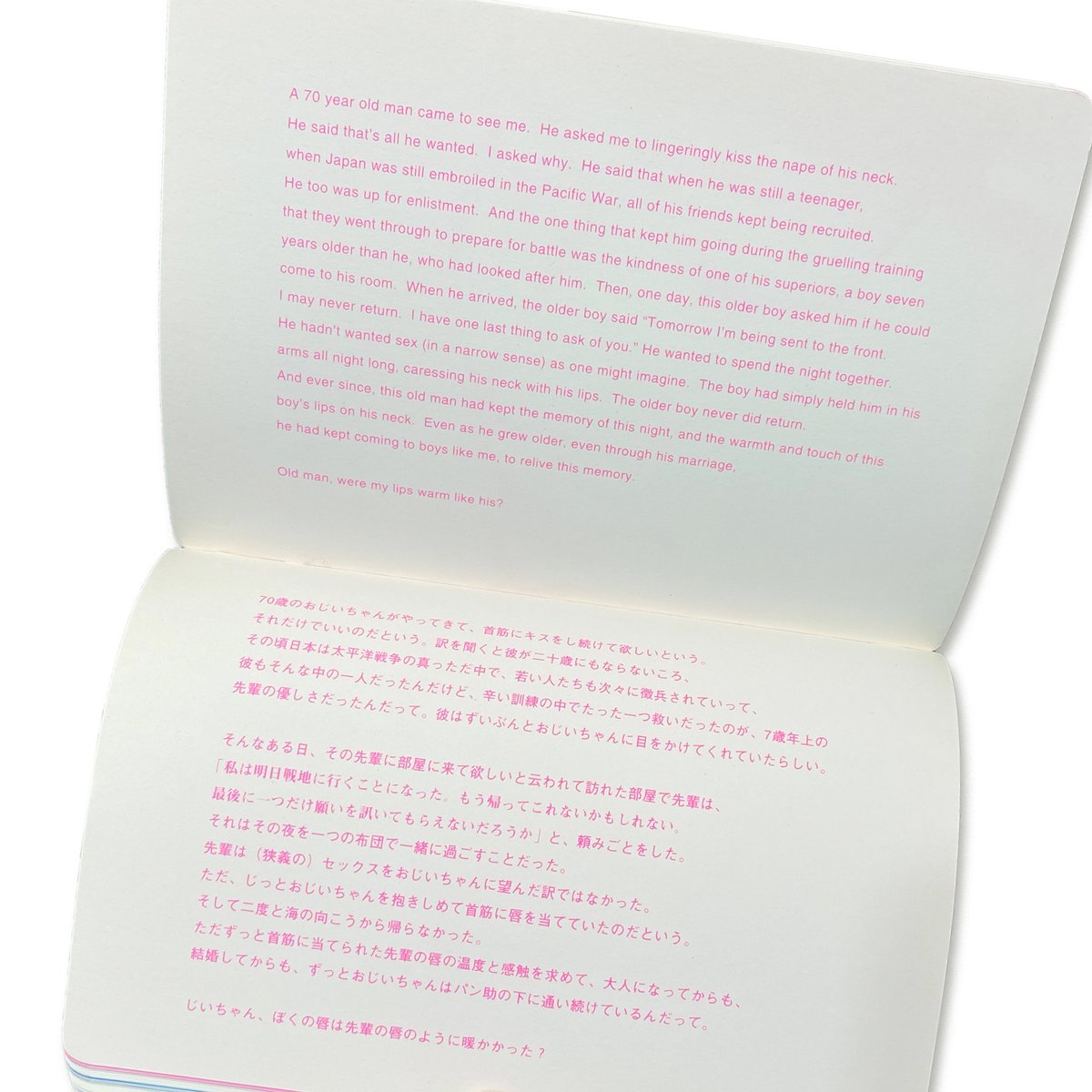 売男日記 A Whore Diary / アキラ・ザ・ハスラー Akira The Hu