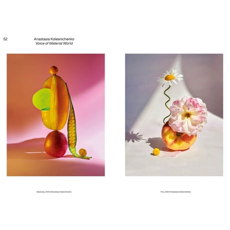 VOSTOK vol.38 / Still Life：私の小さな世界は