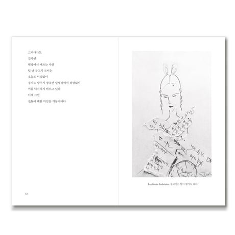 毛深い魚のモア