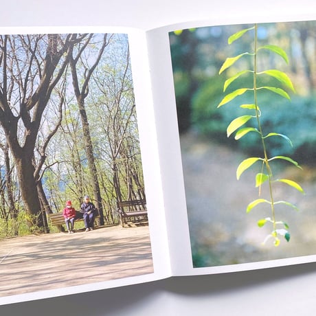 ソウルの公園  서울의 공원