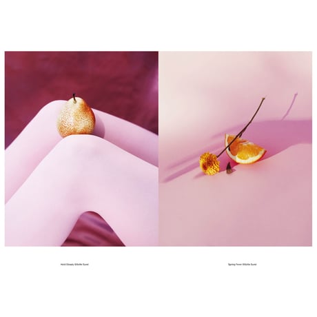 VOSTOK vol.38 / Still Life：私の小さな世界は