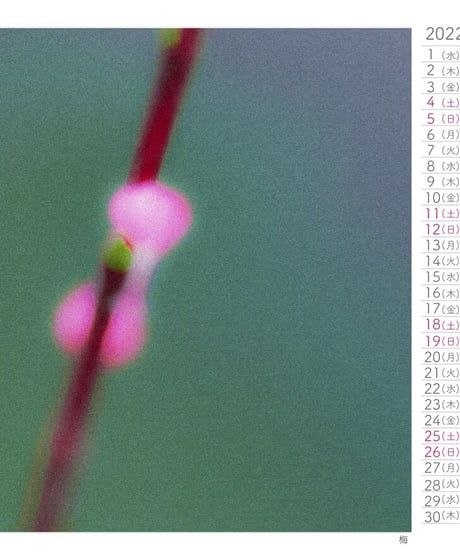 Small Breath Art Calender　森田和昌PhotoGraphic　16ケ月卓上＆壁掛け