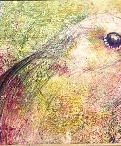 「みつめる」色鉛筆画　加藤あみな