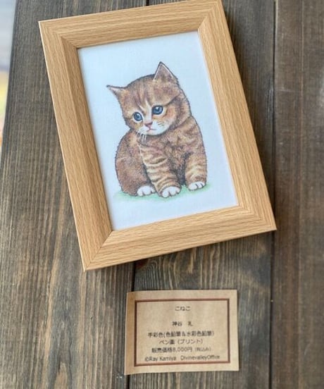 こねこ　手彩色（色鉛筆＆水彩色鉛筆）ペン画（プリント）