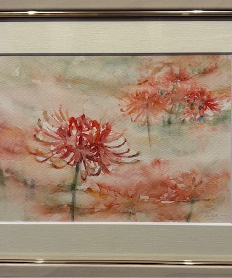 彼岸花　透明水彩画　六部純