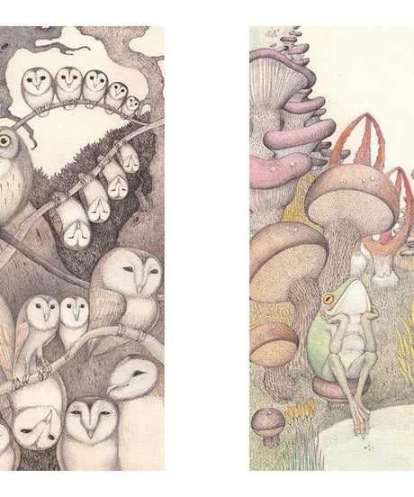 Songs 生き物たちの塗り絵