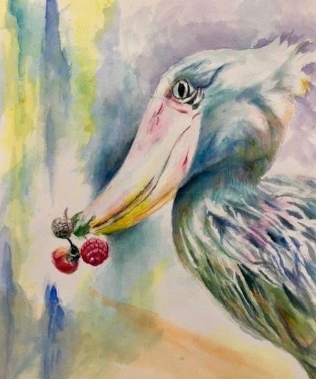 水彩画　『はしぴろこう』"shoebill”　広田豊子
