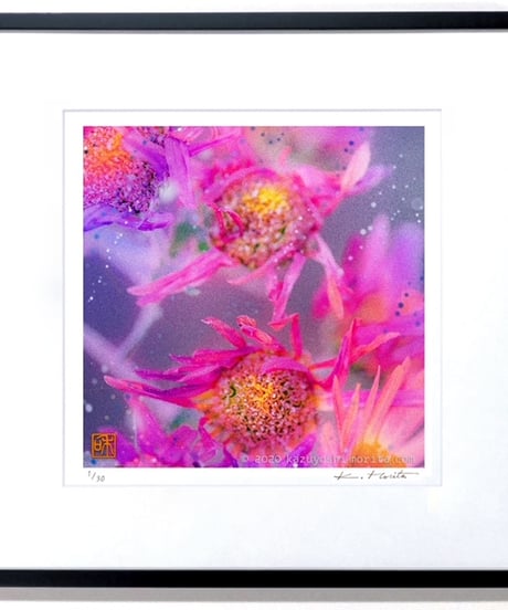 「Small breath ２」花のフォトグラフィックインテリア