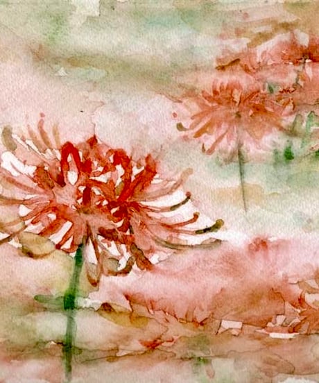 彼岸花　透明水彩画　六部純