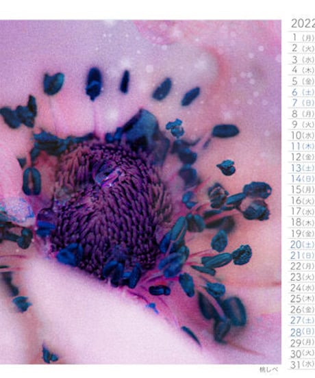 Small Breath Art Calender　森田和昌PhotoGraphic　16ケ月卓上＆壁掛け