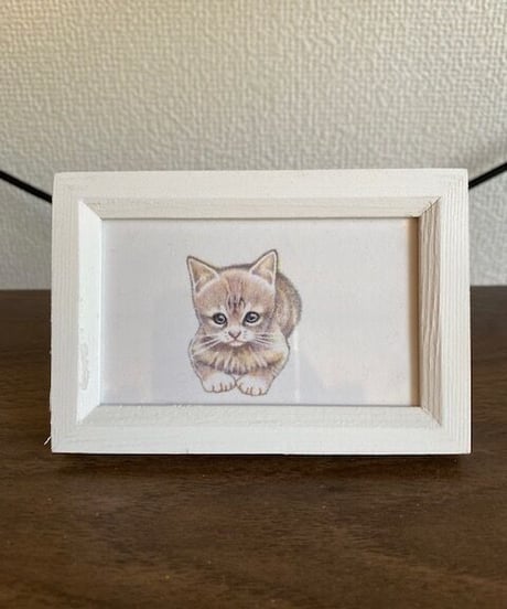 「こねこ　３」　手彩色（色鉛筆＆水彩色鉛筆）ペン画（プリント）