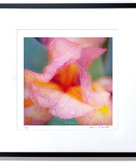「Small breath ６」