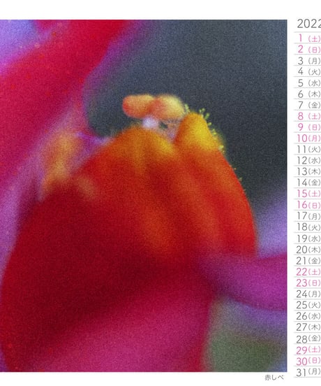 Small Breath Art Calender　森田和昌PhotoGraphic　16ケ月卓上＆壁掛け