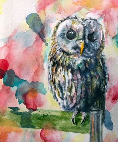 水彩　『梟』 "owl"