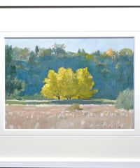 追記サイン入りました！ 油彩画 『ミカンのある静物』 森田和昌