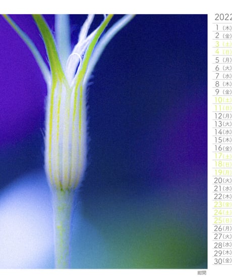 Small Breath Art Calender　森田和昌PhotoGraphic　16ケ月卓上＆壁掛け