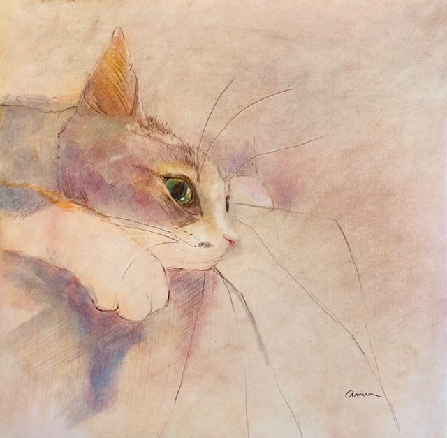 加藤あみな 色鉛筆画 猫 S4 | nuancebeans