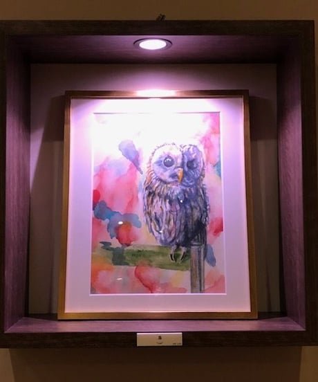 水彩　『梟』 "owl"