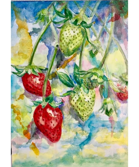 水彩画  『苺』＂strawberry"　広田豊子