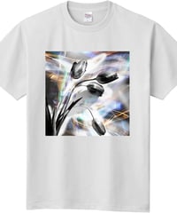 写真家・武内俊明　フォトグラフィックTシャツ　定番