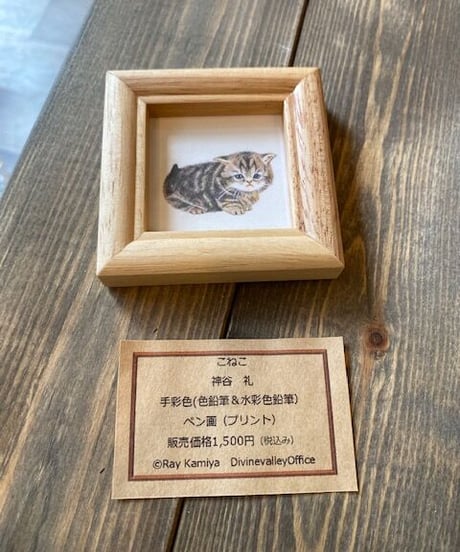 「こねこ　４」手彩色（色鉛筆＆水彩色鉛筆）ペン画（プリント）