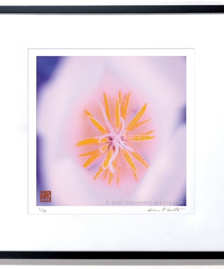 「Small breath ３」